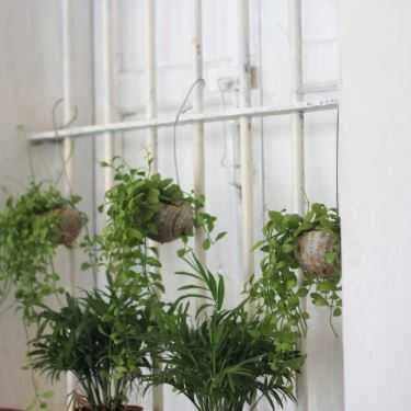 Tổng hợp- Chai Tea & Coffee - Hữu Hưng