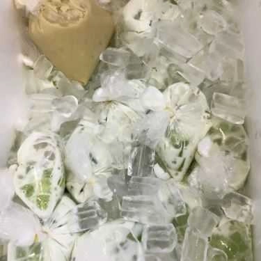 Tổng hợp- Chang Food - Ăn Vặt Các Loại