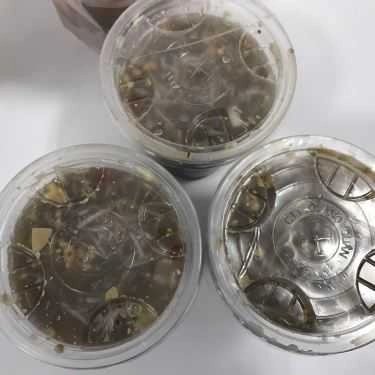 Món ăn- Ăn vặt Chè & Sữa Chua Mít - Nguyễn Ngọc Vũ
