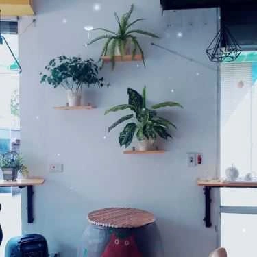 Tổng hợp- Cafe Asali - Nature Fruit Tea