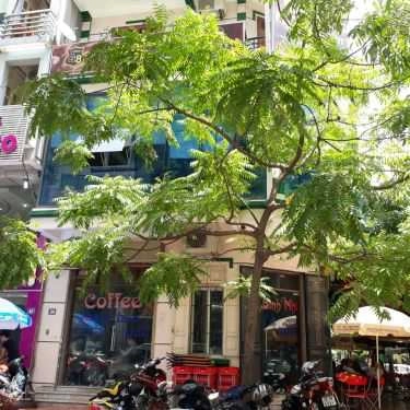 Tổng hợp- Bình Nhi Cafe