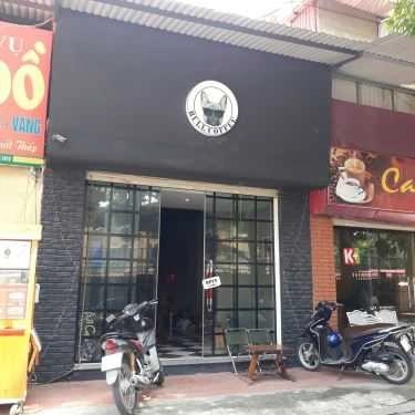 Tổng hợp- Bull Coffee