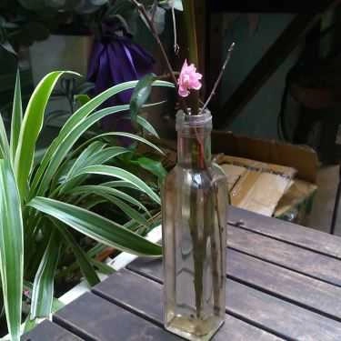 Tổng hợp- Cafe Nhà 41 - Thái Hà
