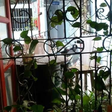 Tổng hợp- Cafe Nhà 41 - Thái Hà