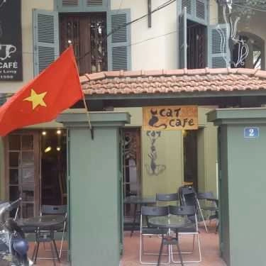 Tổng hợp- Cat Cafe