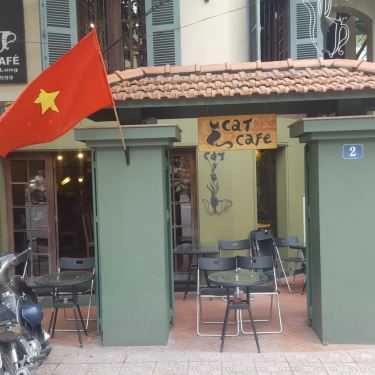 Tổng hợp- Cat Cafe