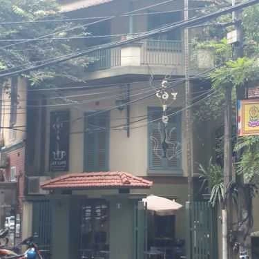 Tổng hợp- Cat Cafe