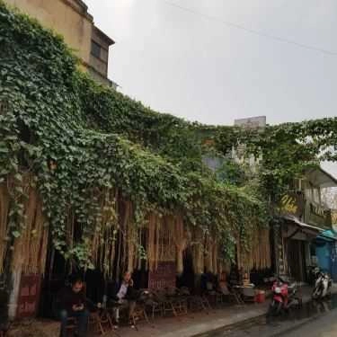 Tổng hợp- Cây Bàng Đổ Cafe
