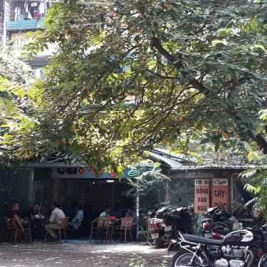 Tổng hợp- Cây Dừa Cafe - Đặng Văn Ngữ