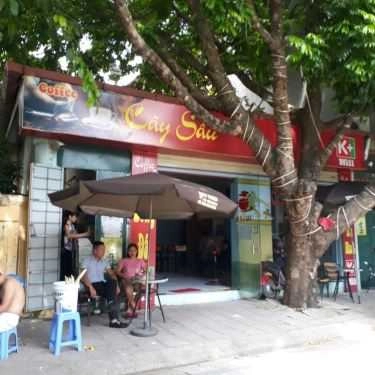 Tổng hợp- Cây Sấu - Cafe & Fast Food