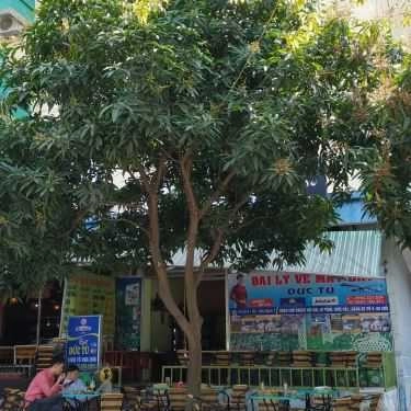 Tổng hợp- Đức Tú Cafe