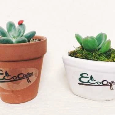 Tổng hợp- Eco Coffee - Nguyễn Văn Lộc
