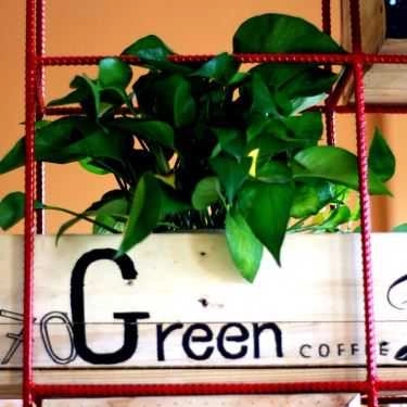 Tổng hợp- Green Coffee - Trần Vỹ