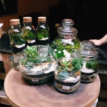Tổng hợp- Green Oasis - Coffee & Workshop