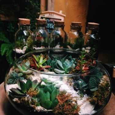 Tổng hợp- Green Oasis - Coffee & Workshop