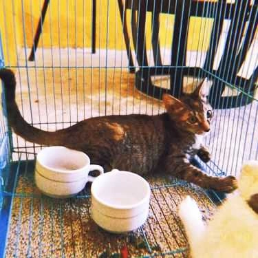 Tổng hợp- Hầm Trú Ẩn Cafe