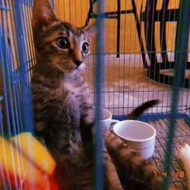 Tổng hợp- Hầm Trú Ẩn Cafe