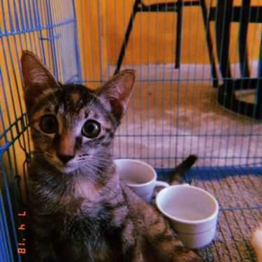 Tổng hợp- Hầm Trú Ẩn Cafe