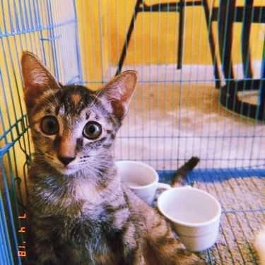Tổng hợp- Hầm Trú Ẩn Cafe