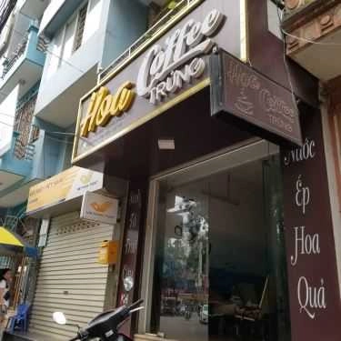 Tổng hợp- Hoa Coffee - Nguyễn Khánh Toàn
