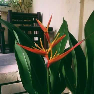 Tổng hợp- Cửa Hàng Cà Phê Ki-Ốt 174
