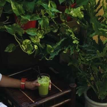 Tổng hợp- Cửa Hàng Cà Phê Ki-Ốt 174