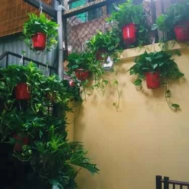Tổng hợp- Cửa Hàng Cà Phê Ki-Ốt 174