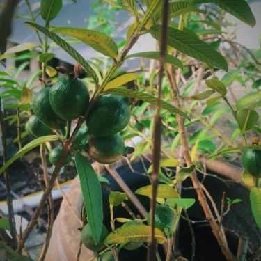 Tổng hợp- Cửa Hàng Cà Phê Ki-Ốt 174