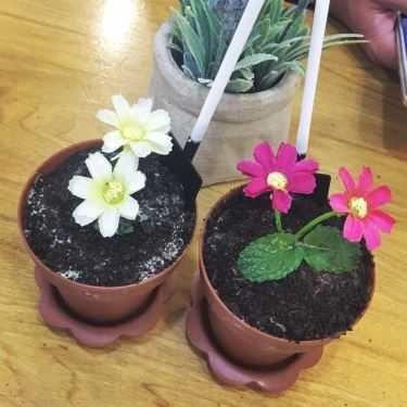Món ăn- Lamour Ice-cream & Coffee
