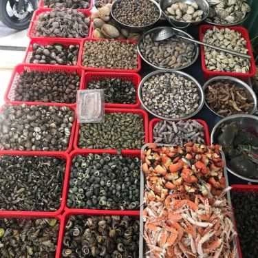 Tổng hợp- Ăn vặt Lan Béo - Ốc Hải Phòng