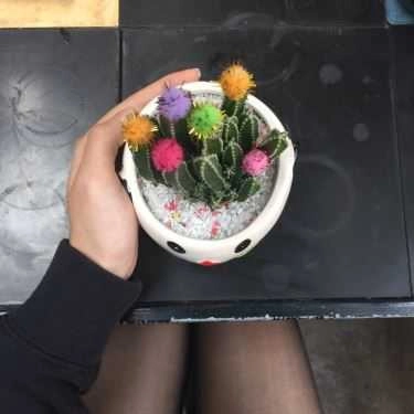 Tổng hợp- Ohi Tree & Coffee - Nguyễn Du