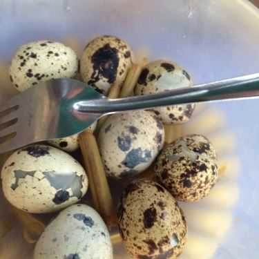Món ăn- Quán Ăn Vặt - Nguyễn Quý Đức