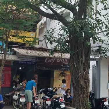 Tổng hợp- Cây Đa Cafe - Phan Bội Châu