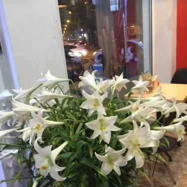 Tổng hợp- Redsun Coffee - Phan Chu Trinh