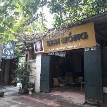 Tổng hợp- Sen Hồng - Cafe & Sinh Tố Hoa Quả