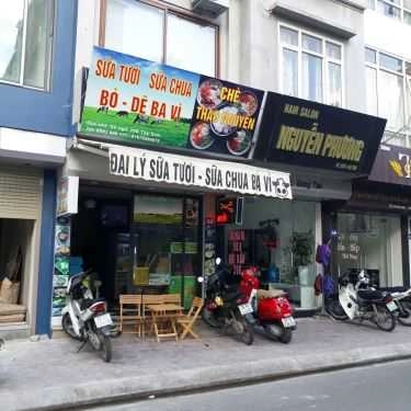 Tổng hợp- Cafe Sữa Tươi & Sữa Chua Trân Châu - Tây Sơn