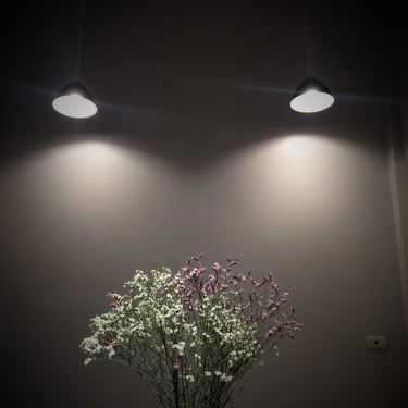 Tổng hợp- The MQA House - Coffee & Tea