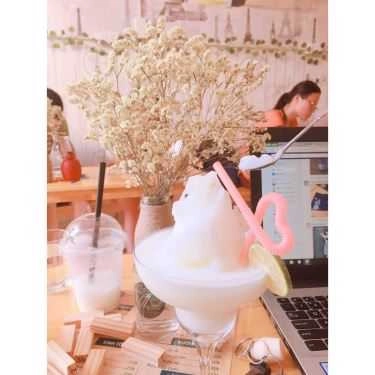 Tổng hợp- The Youth - Coffee & Drinks