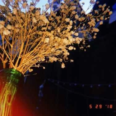 Tổng hợp- Thi Ca Cafe