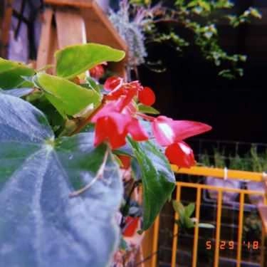 Tổng hợp- Thi Ca Cafe