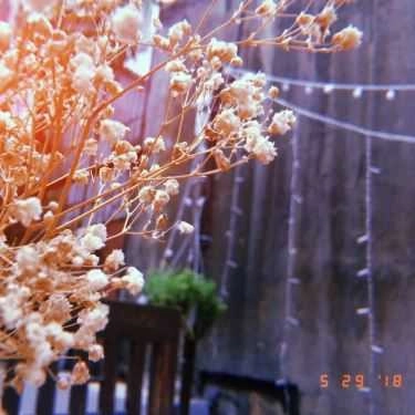 Tổng hợp- Thi Ca Cafe