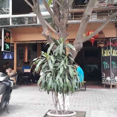 Tổng hợp- Tối Coffee