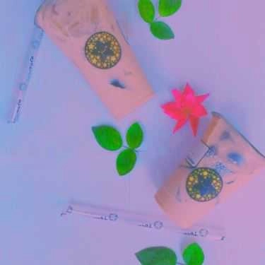 Tổng hợp- Cafe Trà Sữa Tocotoco - Quang Trung