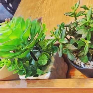 Tổng hợp- Cafe Trà Sữa Tocotoco - Thị Trấn Phùng