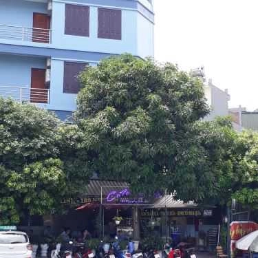 Tổng hợp- Yến Linh Cafe - Nguyễn Đình Thi
