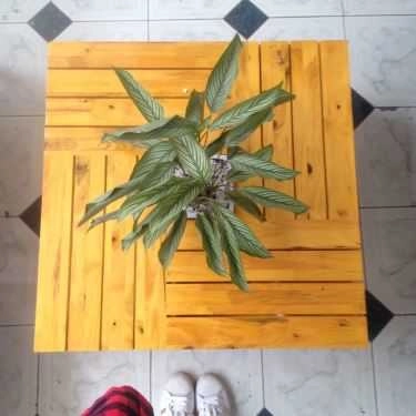 Tổng hợp- Chiin Sneakers Coffee