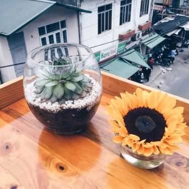 Tổng hợp- Chiin Sneakers Coffee