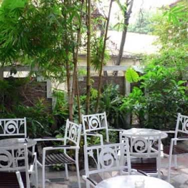 Không gian- Chim Xanh Cafe