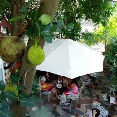 Không gian- Chim Xanh Cafe