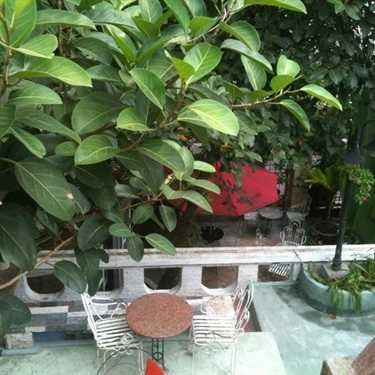 Không gian- Chim Xanh Cafe